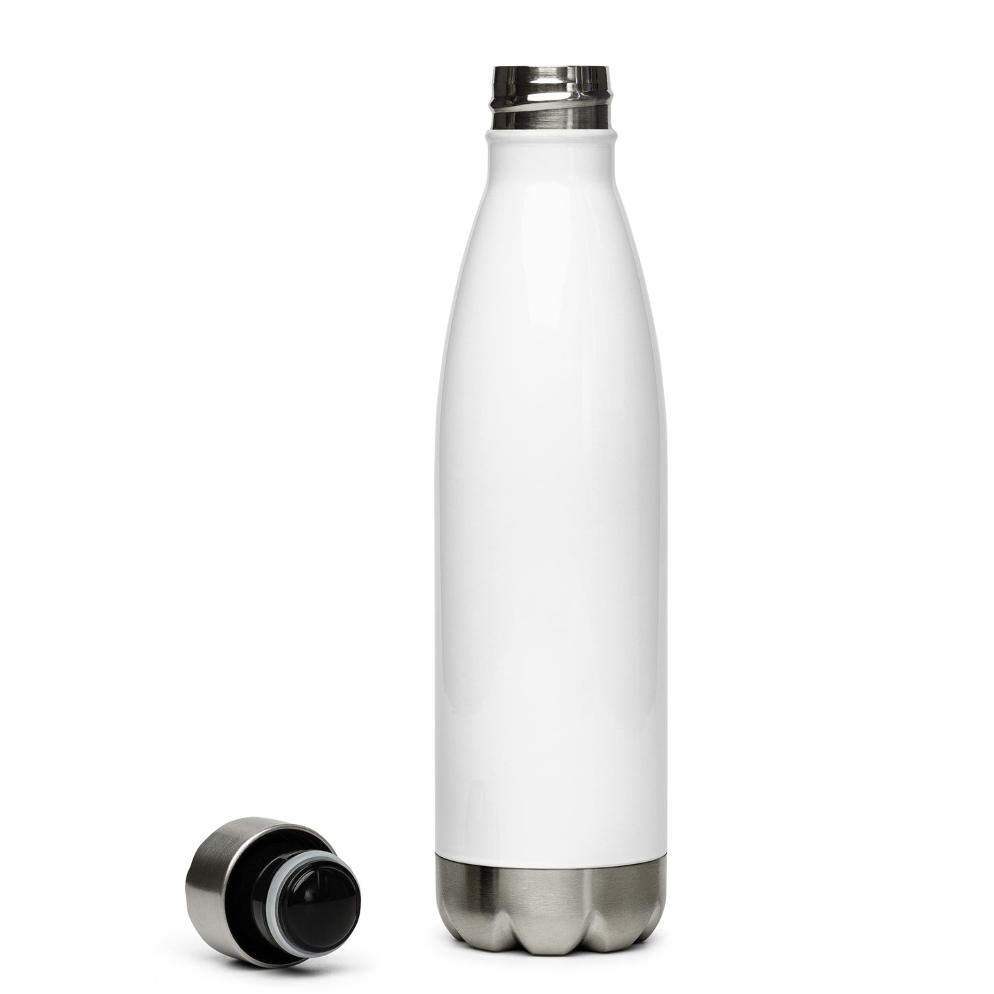 I Live for Astrology Stainless Steel Water Bottle